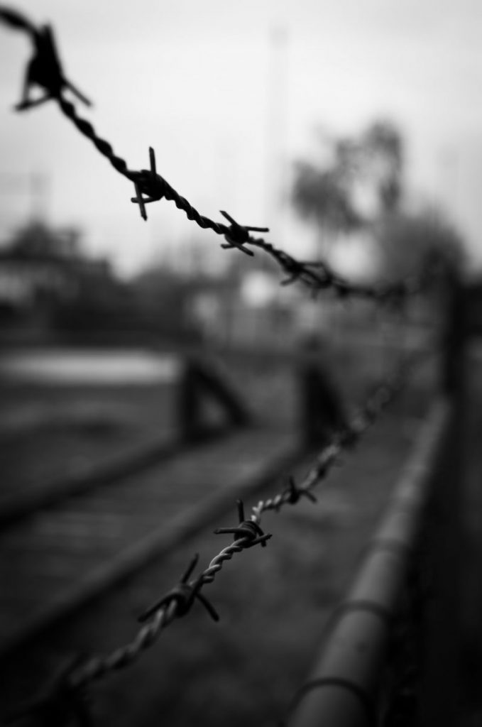 barbed-wire-black-and-white-crime-2057